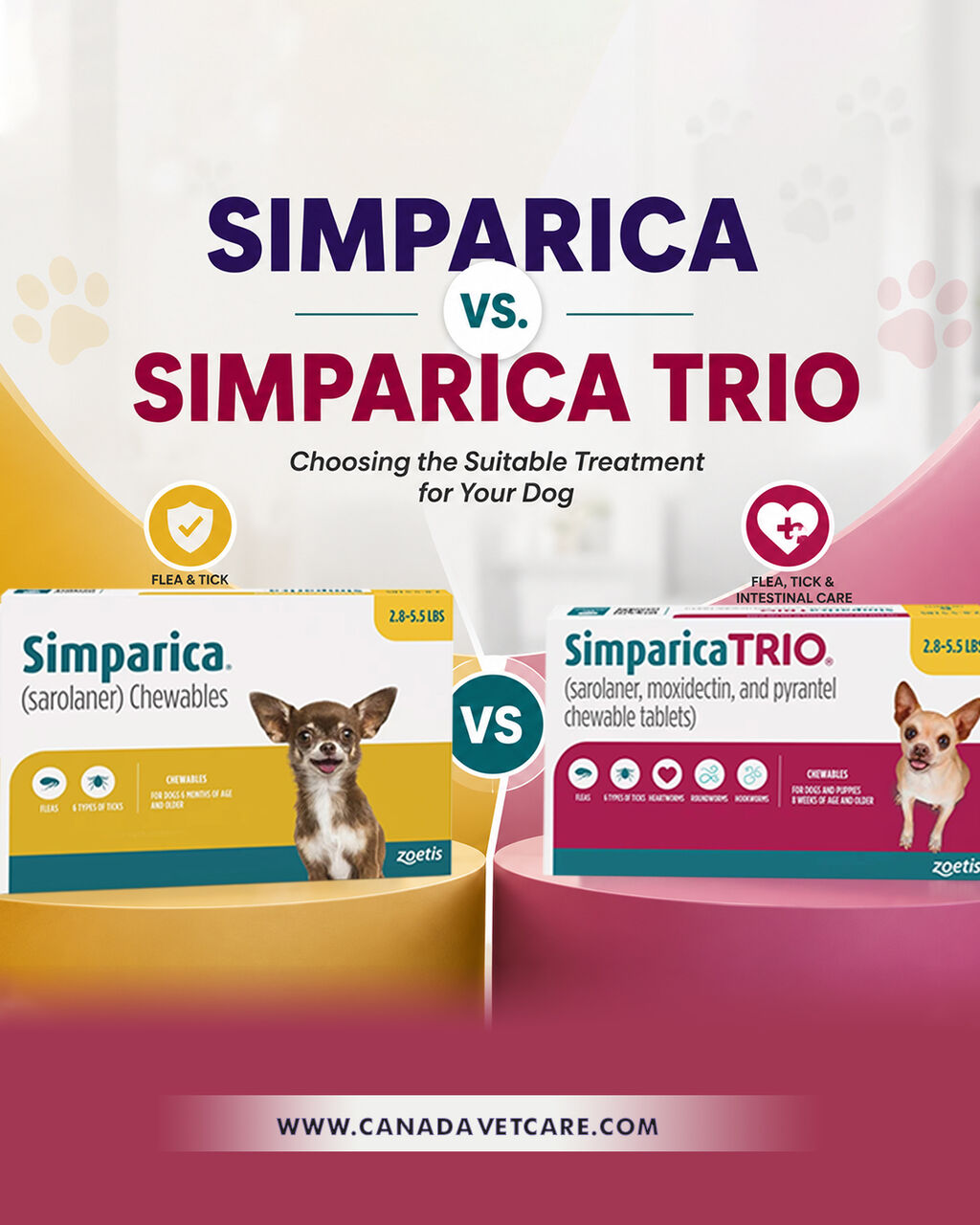 New York, Pet Supplies, USD 35,  Simparica Vs Simparica Trio: Which Parasite Protection Is Best For Your Dog?