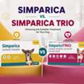 USD 35,  Simparica Vs Simparica Trio: Which Parasite Protection Is Best For Your Dog?