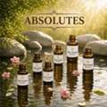 Premium Natural Absolutes Manufacturer & Supplier In India | Rich Aromas