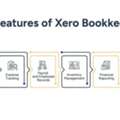 Xero Bookkeeping For Small Business Using Xero Accounting Software