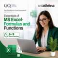 Learn Excel From Beginner To Advanced Concepts | UniAthena