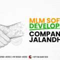 MLM Software Development Company In Jalandhar