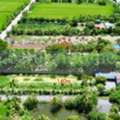 THB 5900000,  6 BR,  800 Sq. Feet,  Reduced Price Of 2 Rai Of Land With Cafe Style Building, Sai Noi - Nonthaburi, Khun Si,