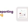 PPC Reporting Tool