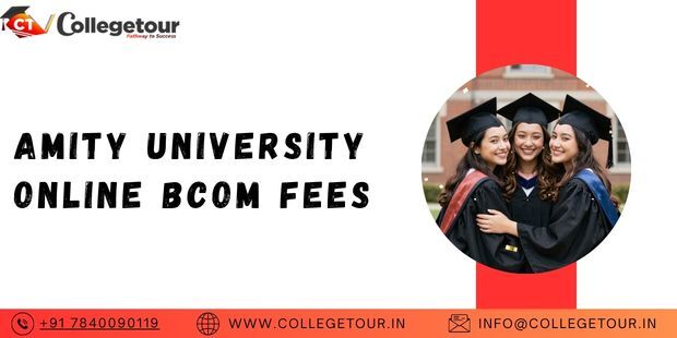 Lucknow, Lessons Offered, AMITY UNIVERSITY ONLINE Bcom Fees