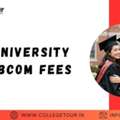 AMITY UNIVERSITY ONLINE Bcom Fees