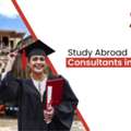 Study Abroad Consultants In Pune For Italy | Expert Guidance | Yes Italy