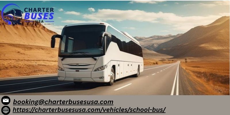 Tampa Bay, Travel, School Bus Rental With Driver For Local Group Trips