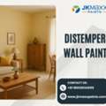 Best Distemper Wall Paint For Modern Homes