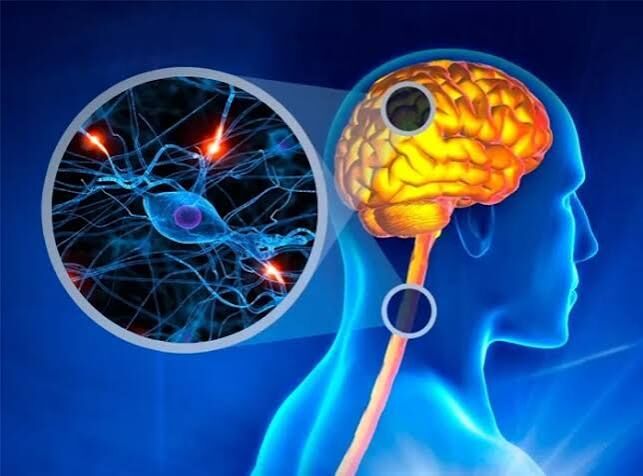 Gurgaon, Businesses For Sale, Multiple Sclerosis Treatment In Gurgaon | Expert Physiotherapy & Rehabilitation Care