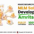 MLM Software Development Company In Amritsar