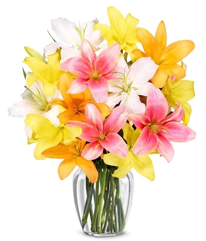New York, Businesses For Sale, Lilies Flower Bouquet | Gifts And Petals Blossom Picks