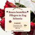 CHF 149,  Warum Rosen Bestellen In Zug? Die Wichtigsten Pflegetipps Für Perfekte Blüten