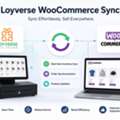 Can Loyverse WooCommerce Sync Improve Your Store Efficiency