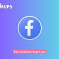 Expert Strategies To Buy Facebook Page Likes Without Risk