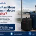 ¿Cómo Preparar Tu Equipaje Según Las Normas De Delta Airlines?