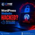 WordPress Website Hacked? Restore It Within 24 Hours