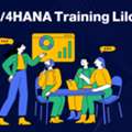 SAP S/4HANA Training Lilongwe | Prompt Edify