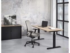 The Hague, Industrial Machinery, EUR 100,  Verstelbare Zit Sta Bureaus Kopen Online | Office Deals