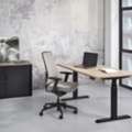 EUR 100,  Verstelbare Zit Sta Bureaus Kopen Online | Office Deals