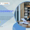 Master Your Law Assignments With Expert Law Assignment Help Australia Today