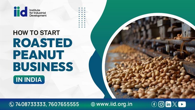 Lucknow, Business, Roasted Peanuts Manufacturing Business: Investment, Profit & Process