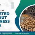 Roasted Peanuts Manufacturing Business: Investment, Profit & Process