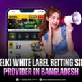 Velki White Label Betting Website Provider In Bangladesh