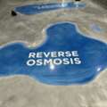 Custom Floor Graphics In Jacksonville To Improve Business Visibility