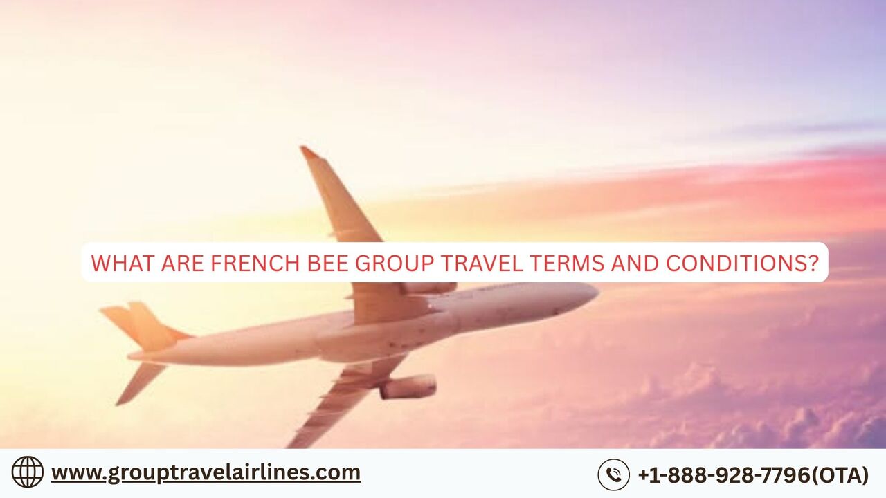 New York, Travel, What Are French Bee Group Travel Terms And Conditions?