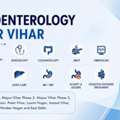 Expert Gastroenterologist In Mayur Vihar | Gastroenterologist Specialist In East Delhi
