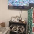 All Low Current Work