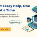 What Are The Best Strategies For Essay Help?