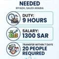 Office Cleanar Job
