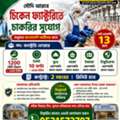 চিকেন ফ্যাকটুরির ভিসা, ডিরেক্ট কোম্পানি