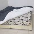 SAR 650,  Double Cot With Bed 2 Nos And Single Cot Without Bed 2 Nos