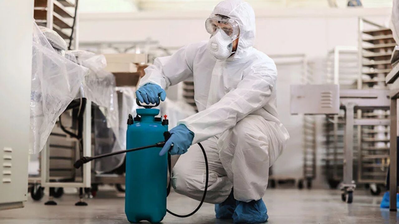 New Delhi, Pest Control, Best Pest Control In Uttam Nagar &ndash; Safe & Affordable Services