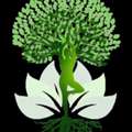 Thryve Wellness Clinic
