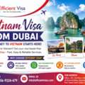 Efficient Visa Vietnam Visa From Dubai Services