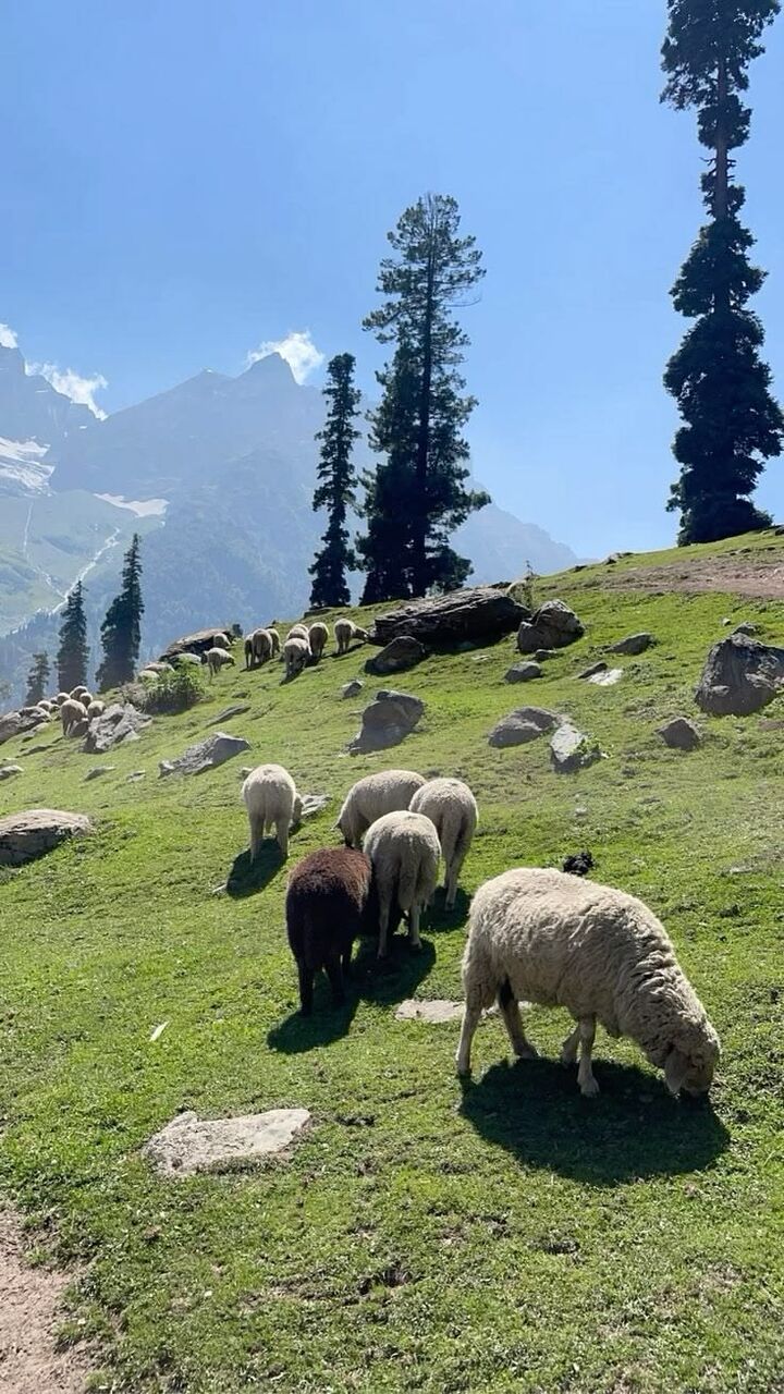 New Delhi, Tickets, INR 18000,  Srinagar Delights 4 Nights 5 Days Starting From 18000/- Per Person