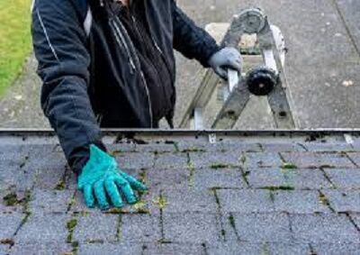 New York, Household, Michiana Roof Cleaning