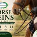 Horse Reins Guide: Choosing The Best Reins For Horses &ndash; The Epic Animal