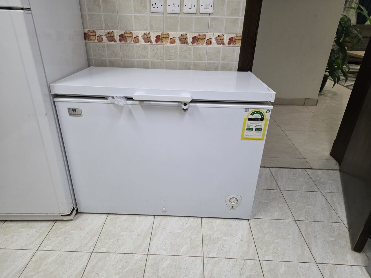 Riyadh, Household Items, SAR 750,  Deep Fryser