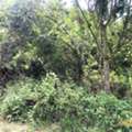 THB 13975000,  6 BR,  1519 Sq. Feet,  Land For Sale Surat Thani Koh Samui District, Soi Entering The DHEVATRA COVE Hotel.
