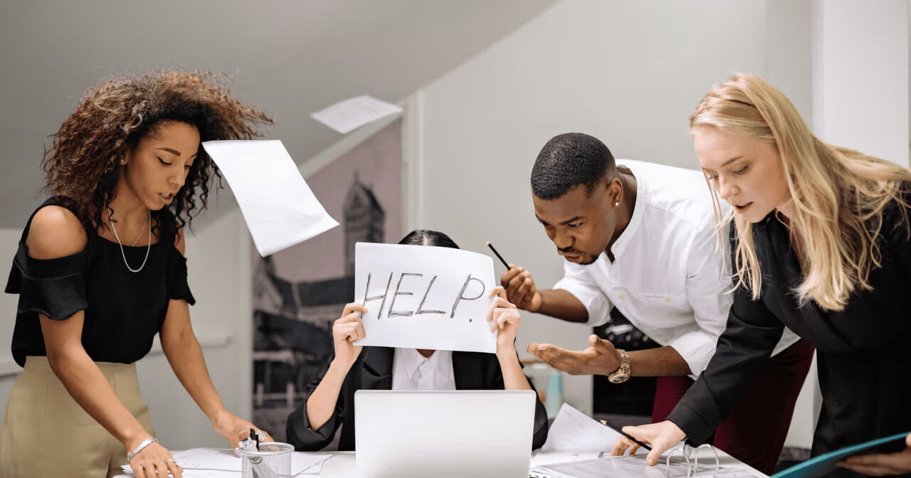 New York, Web Design & Development, Social Media Management