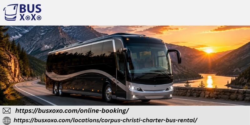 New York, Travel, Comfortable Group Travel For Every Occasion In Corpus Christi