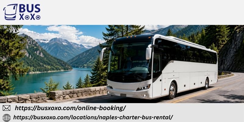 New York, Travel, Reliable Transportation Solutions For Group Adventures