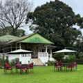 Nya Sylee Bungalow | Tea Garden Resort In Dooars | Octavius