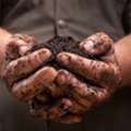 From Landfill To Living Soil: Understanding How Organic Waste Really Decomposes