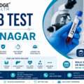 Lab Test Near JP Nagar - Bridge Health